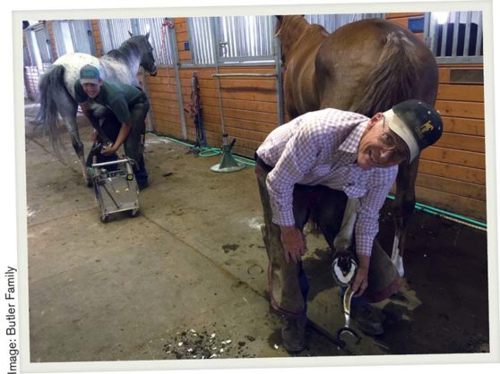 Horseshoe Clips  Butler Professional Farrier Schools