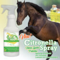 CitSpray_1080x1080-copy.jpg