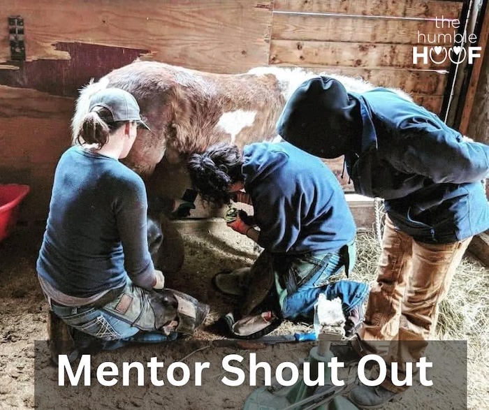 Mentor-Shoutout