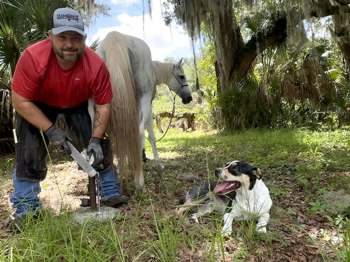 Frog, Jeremy Zackowsi and horse