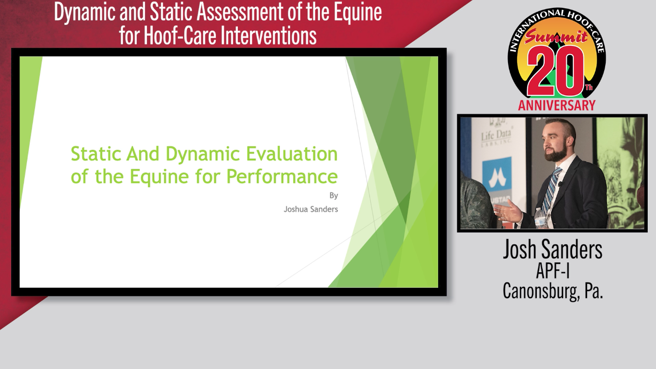 Dynamic-and-Static-Assessment-of-the-Equine-for-Hoof-Care-Interventions.png