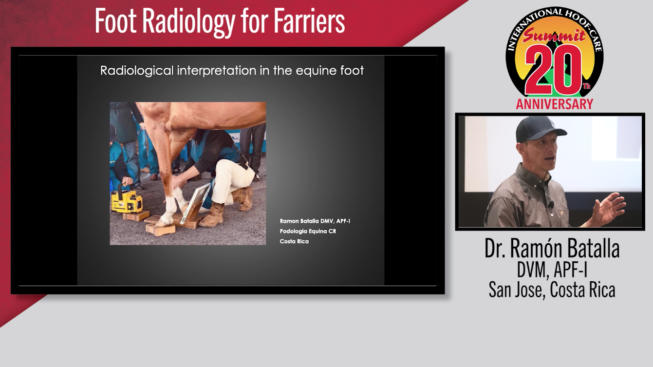 Foot-Radiology-for-Farriers.png