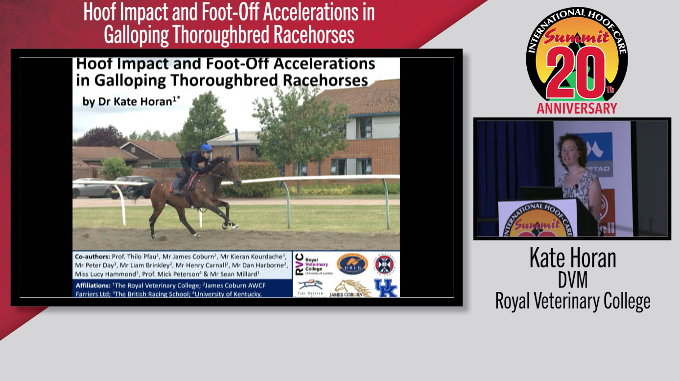 Hoof-Impact-and-Foot-Off-Accelerations-in-Galloping-Thoroughbred-Racehorses.png