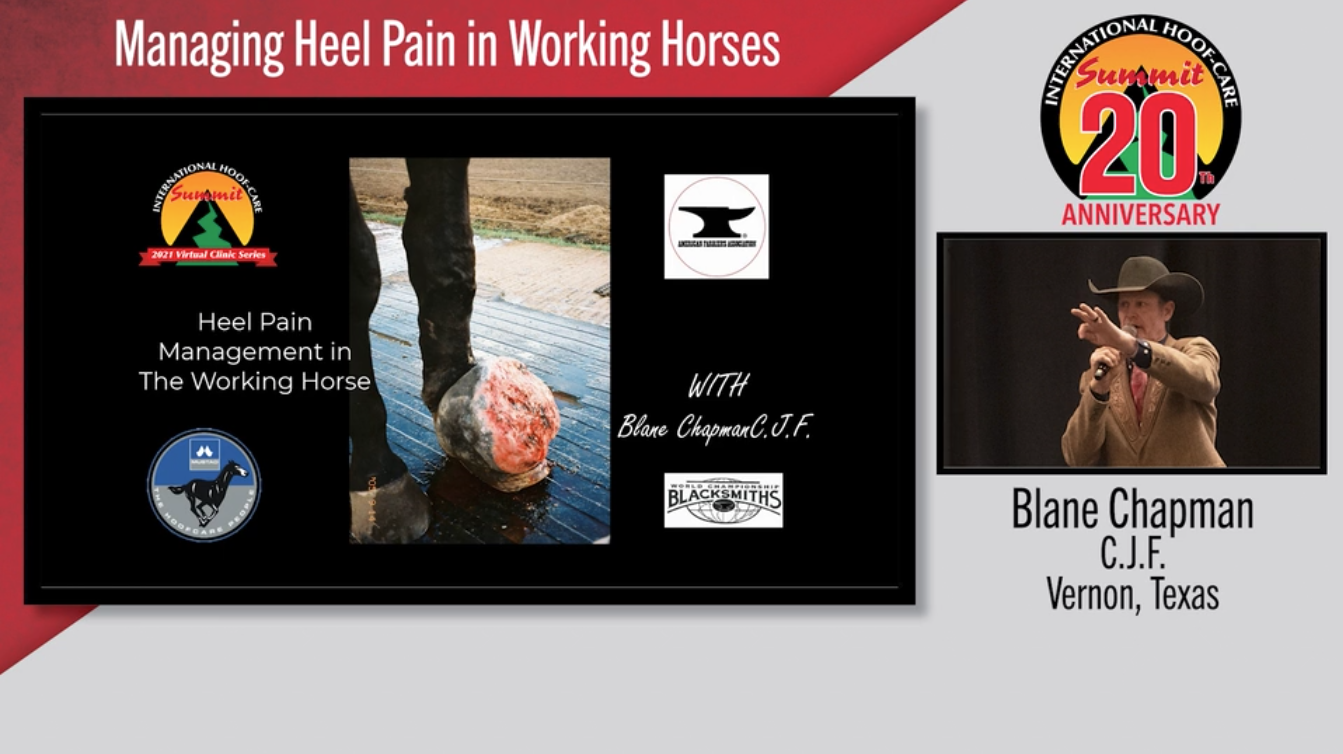 Managing-Heel-Pain-in-Working-Horses.png