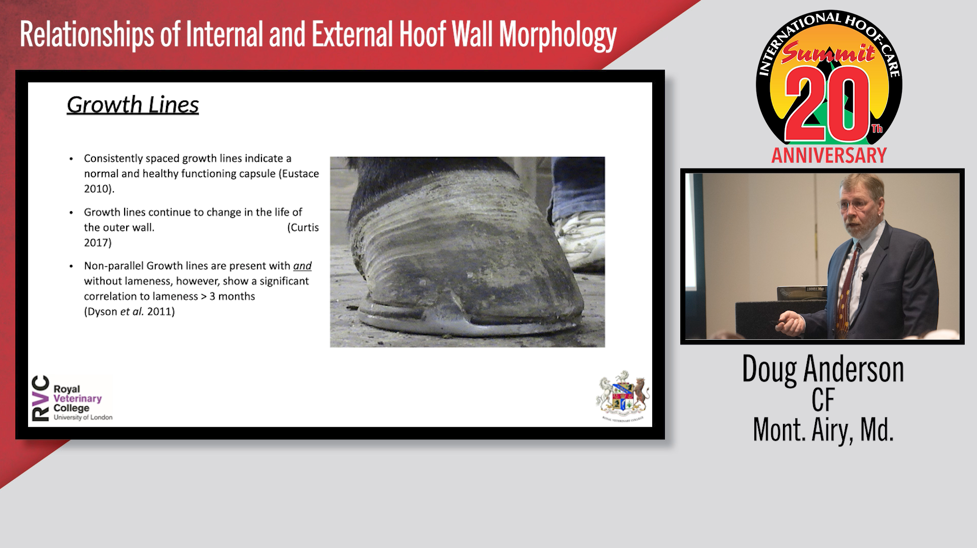 Relationships-of-Internal-and-External-Hoof-Wall-Morphology.png