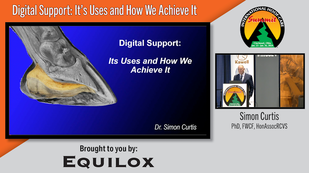 Digital Support- It’s Uses and How We Achieve It.png