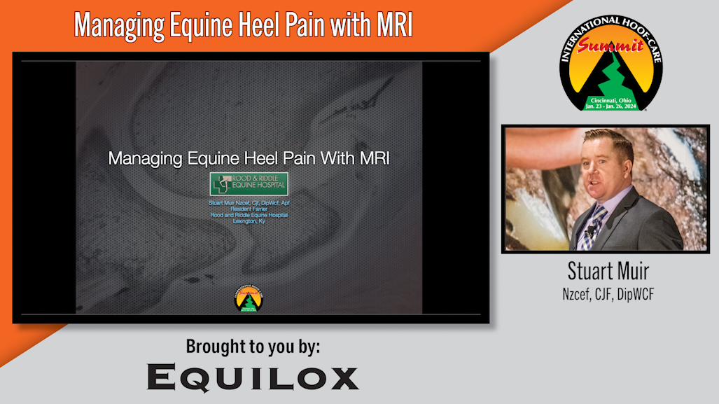 Managing Equine Heel Pain with MRI.png