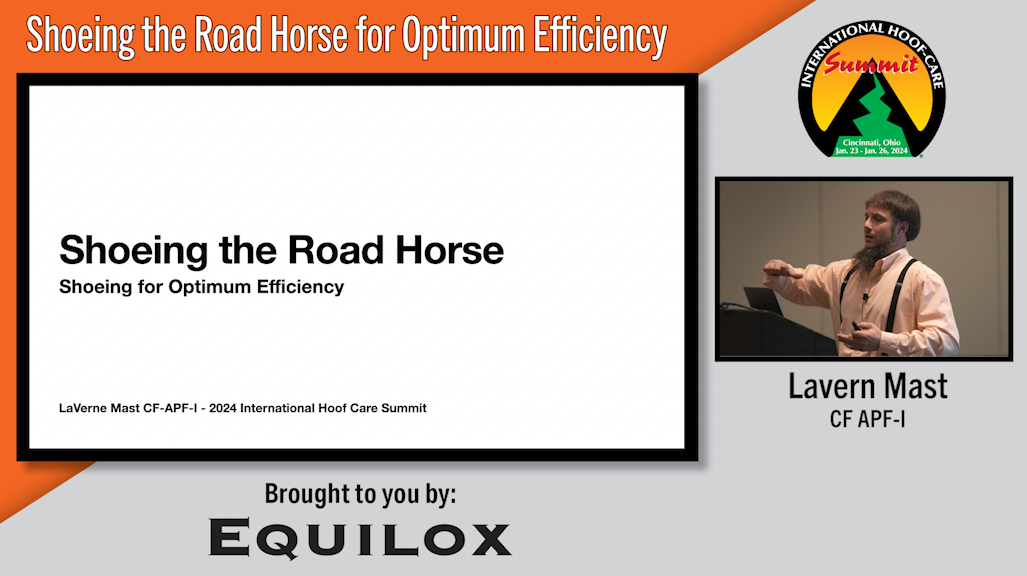 Shoeing the Road Horse for Optimum Efficiency.png