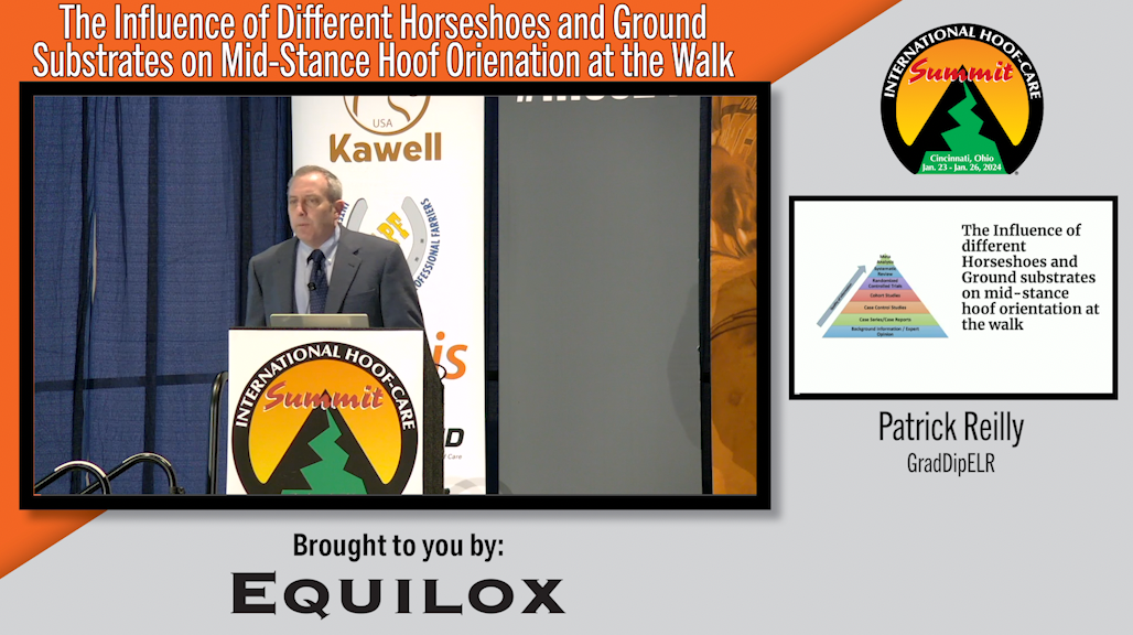 The Influence of Different Horseshoes and Ground Substrates on Mid-Stance Hoof Orienation at the Walk.png