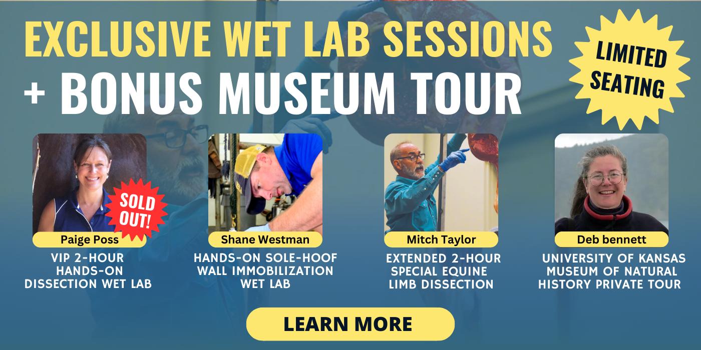 Wet Labs & Bonus Sessions