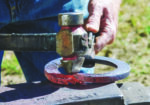 Farrier Regulation