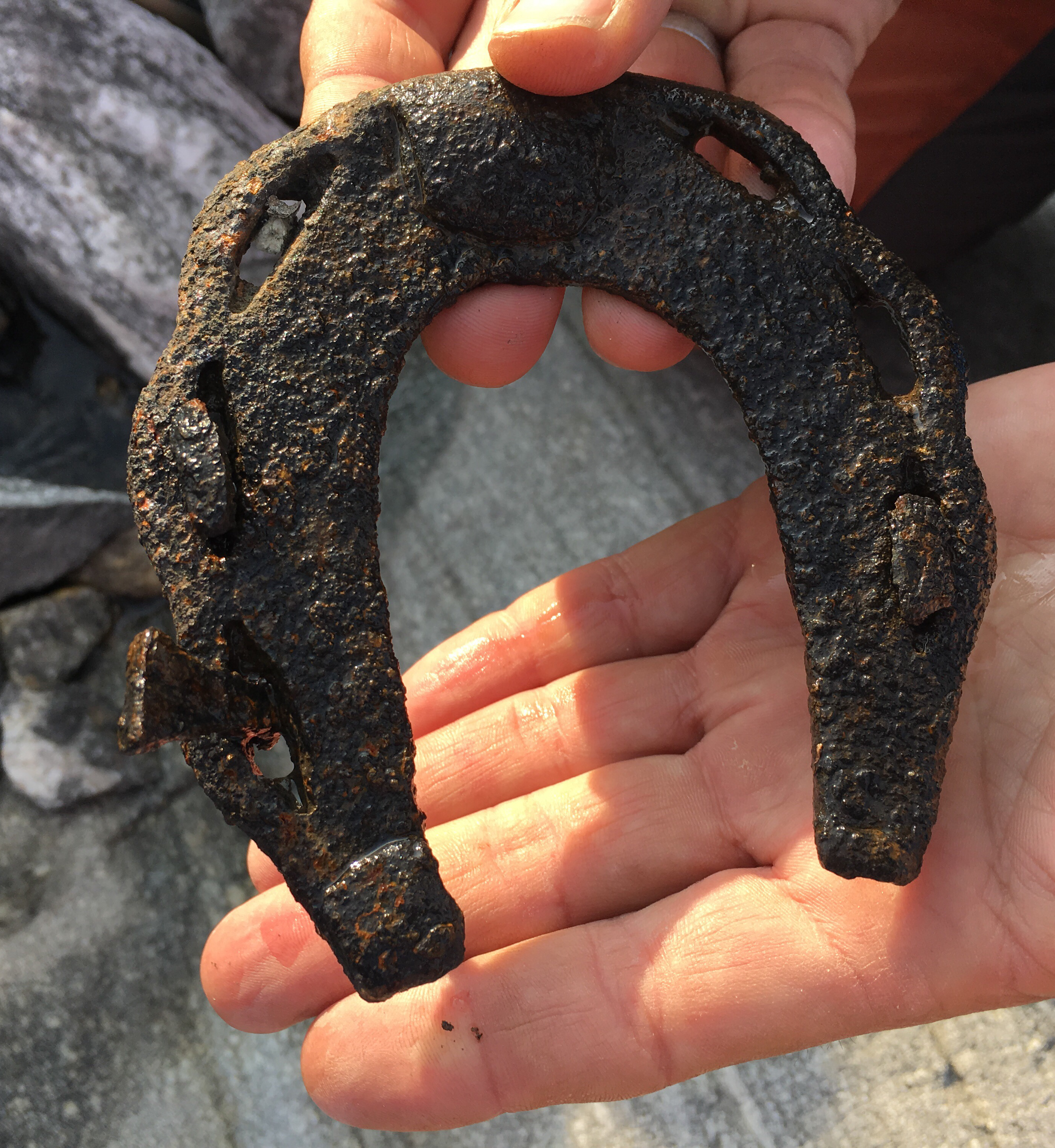 ancient horse shoe