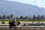 santa anita park