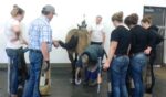 Kwantlen farrier program