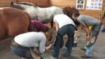 Mission Farrier School