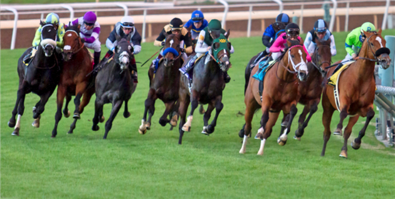 Horseracing Integrity Act