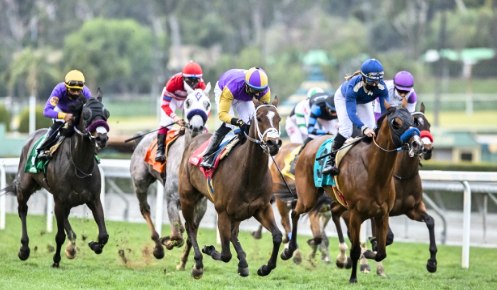 Horseracing Integrity and Safety Authority Appoints Board, Committee ...