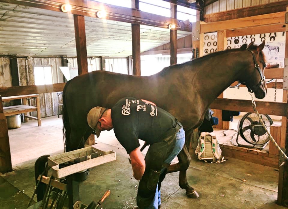 Running Horse Shoes Farrier Using for Horse Equestrian Equipments