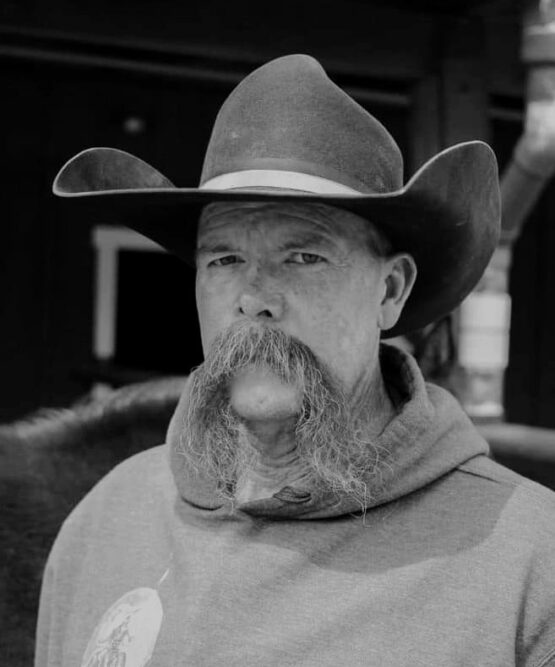 Roger Tomlinson.jpg