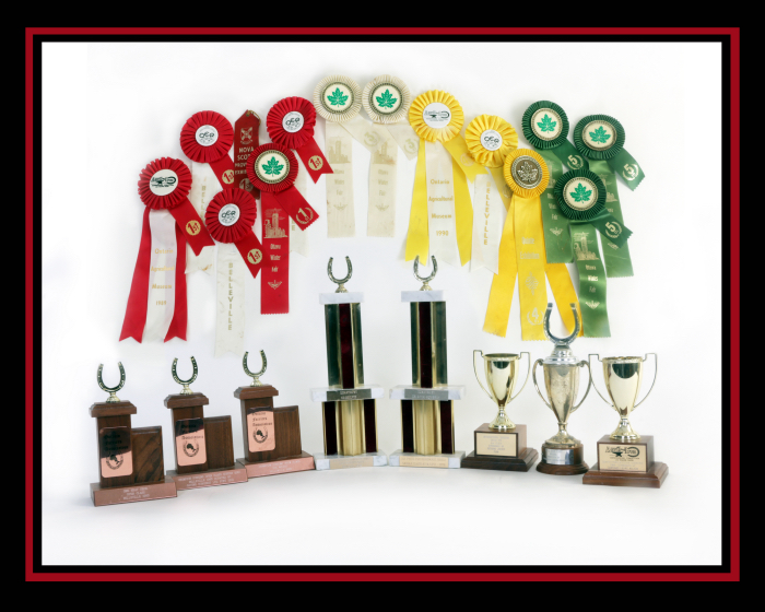 Ribbons and Trophies(1).jpg