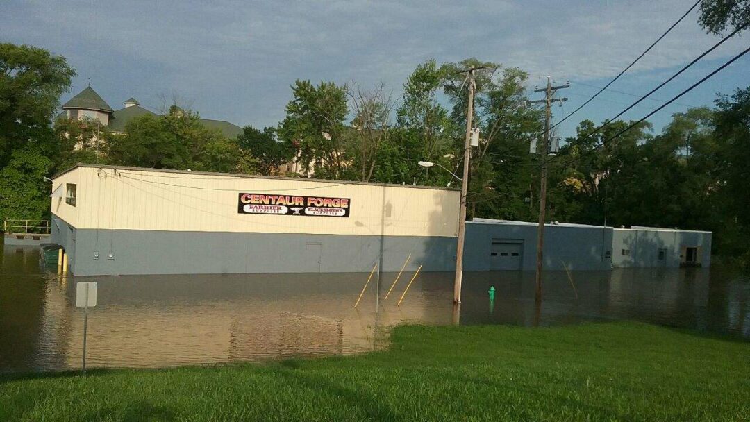 The area around Centaur Forge was surrounded by water. 