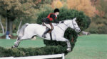 hunter jumpers