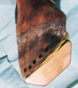 WOODEN SHOE