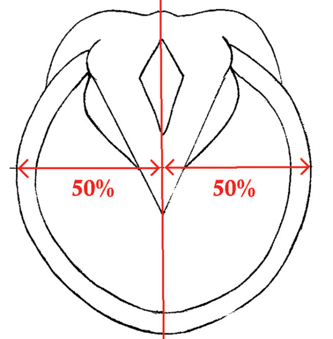 Figure1.jpg