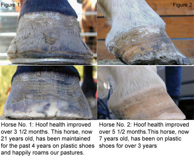 Plastic Shoes And Foundered Hooves | American Farriers Journal