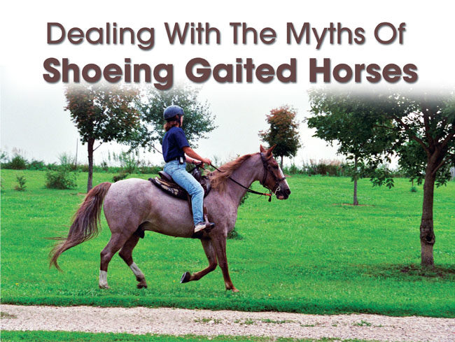 Gaited Horses