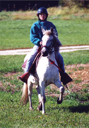 Peruvian Paso