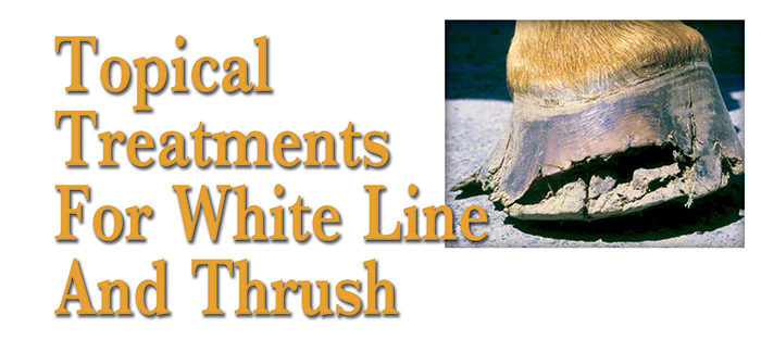 Topical Treatments for White Line and Thrush | American Farriers Journal