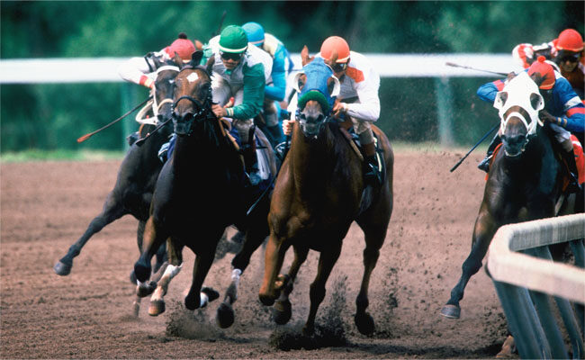 Horse Racing