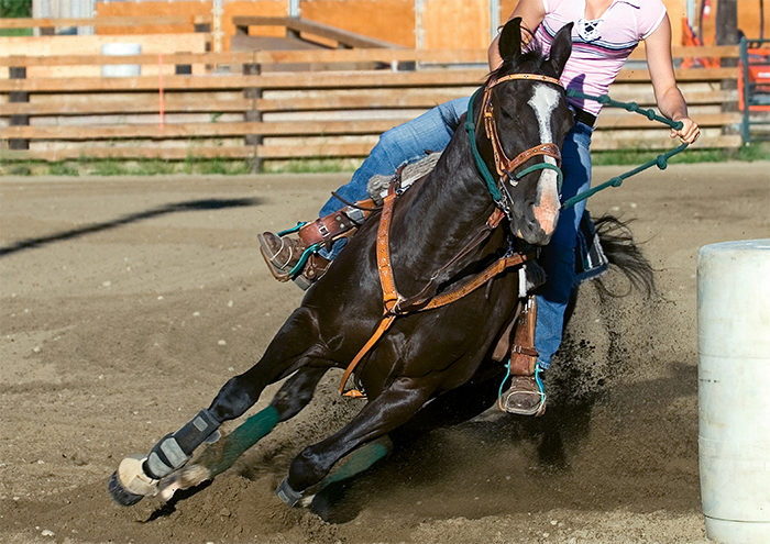 Shoeing The Western Performance Horse American Farriers Journal