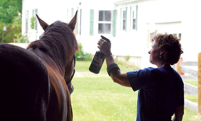 DSC_2990-fly-spraying-horse.jpg