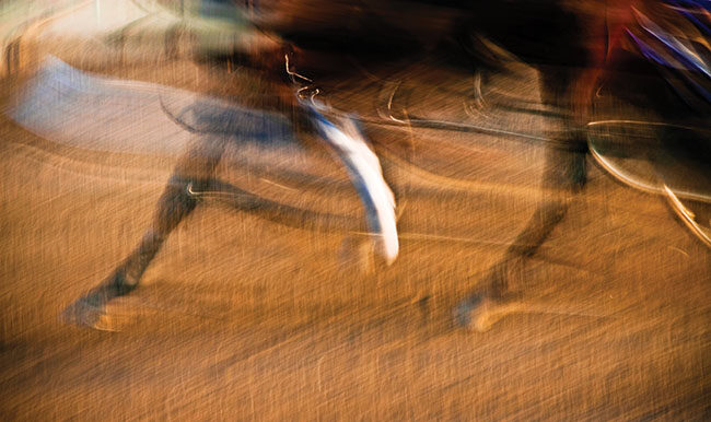 HorseMotionBlur.jpg