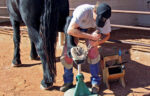 desert-shoeing-3.jpg