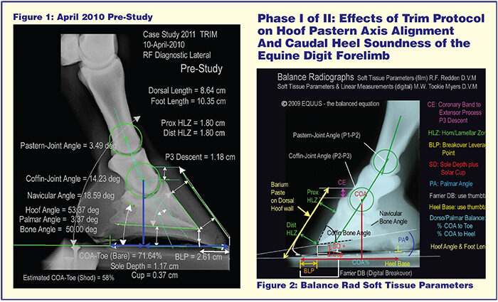 Figure-1.jpg