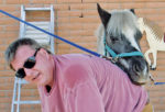 horse and farrier