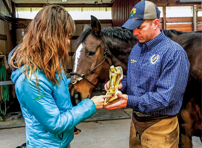 Feeding Supplies  Schneiders Saddlery