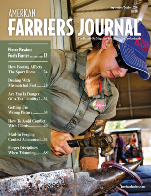 Cover_AFJ_0916_web.png