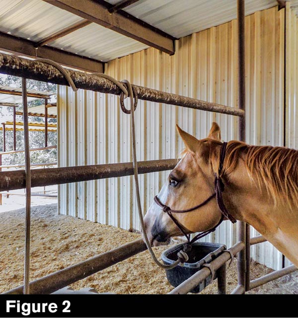 Innovation at Alamo Pintado Equine Medical Center