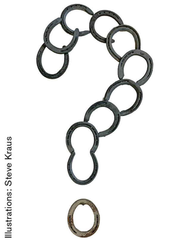 I Steel Do Linked Horseshoes