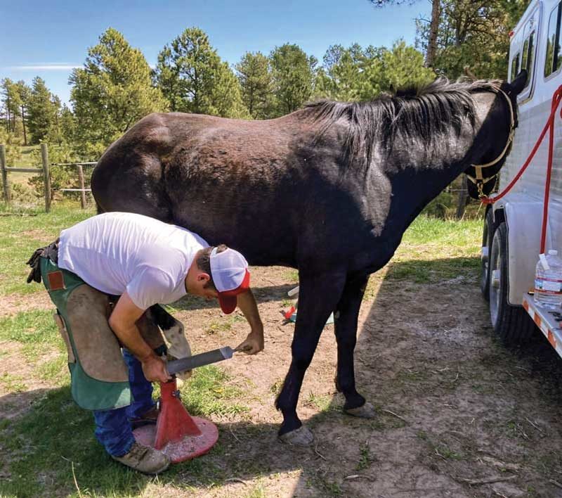 Farrier rasps back foot of black horse. Customers want to do business with people they can trust.