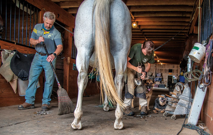 4-traits-that-will-help-you-as-a-farrier-apprentice