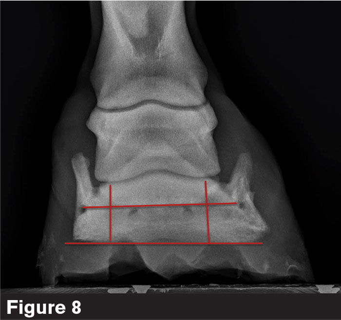 Centaur-Brent-Barrett_AFJ_0323_Fig8.jpg