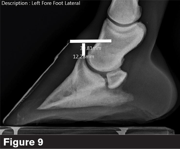 Centaur-Brent-Barrett_AFJ_0323_Fig9.jpg