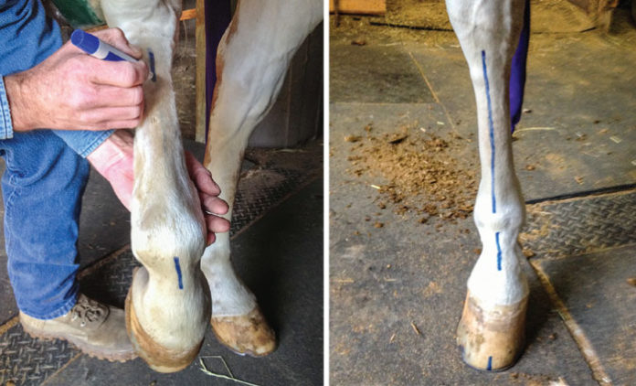 Prevent Falls This Winter  Butler Professional Farrier Schools