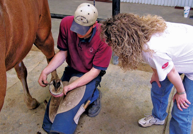 Developing Farrier Skill Hinges on a Student’s Effort