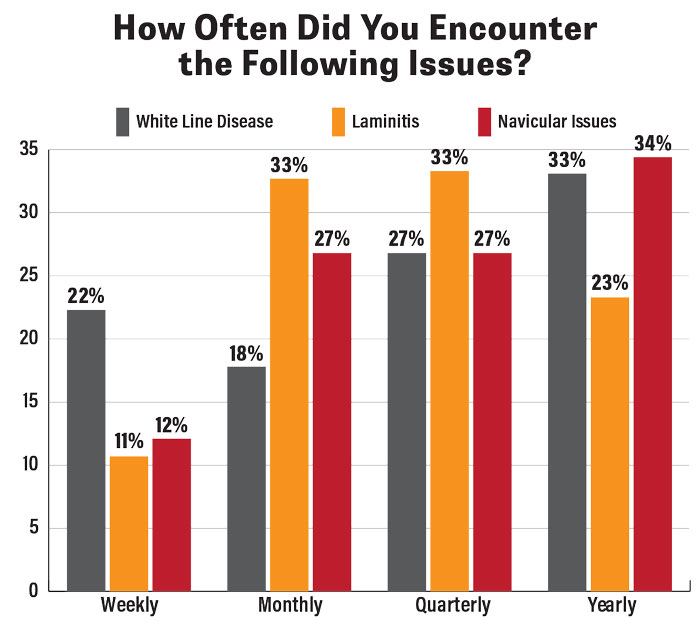 How-Often-Did-You-Encounter-the-Following-Issues-700.jpg